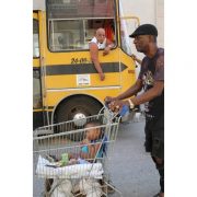 Baby-in-the-supermarket-cart