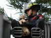 bomberos-rescatan-gato