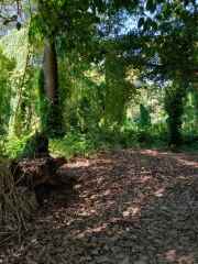 IMG_20251229_131105_144_2_11zon