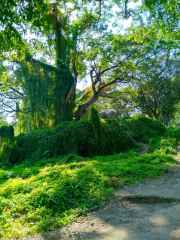 IMG_20251229_131337_688_3_11zon