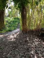 IMG_20251229_131456_448_5_11zon