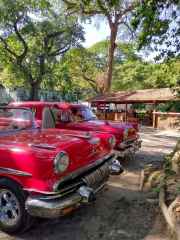 IMG_20251229_131649_278_8_11zon