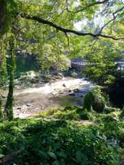 IMG_20251229_131715_442_9_11zon