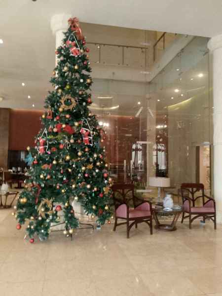 IMG_20251214_161950_399_3_11zon