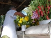 Flowers for sale.