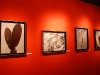 Photography show of work by Tina Modotti