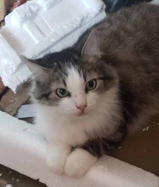 FB_IMG_1768615336149