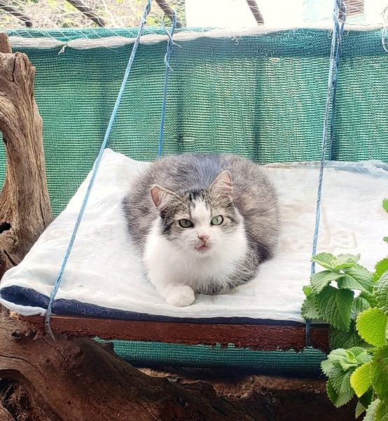 FB_IMG_1768615346992