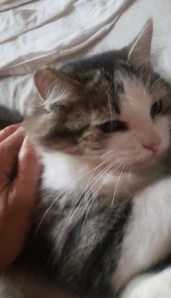 FB_IMG_1768615354667