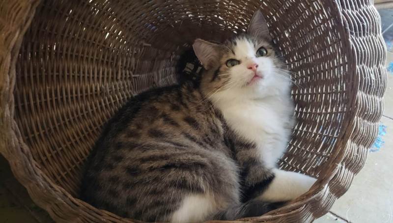 FB_IMG_1768615408517