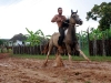 Horse Race, Viñales, Cuba