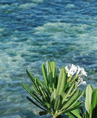 I was able to walk for hours along the water’s edge and still see the same landscape. Photo: Caridad