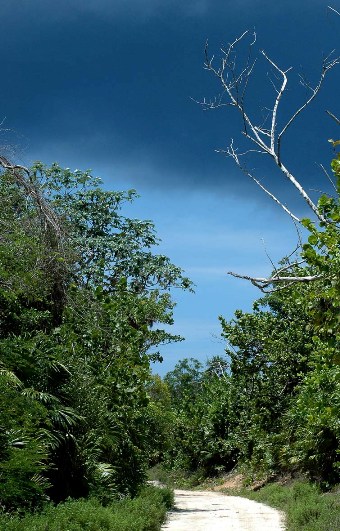 Cuban Landscape photography by Caridad