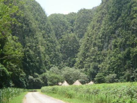 Viñales is characterized by striking landscapes of mountain ranges and sheer limestone outcrops.   