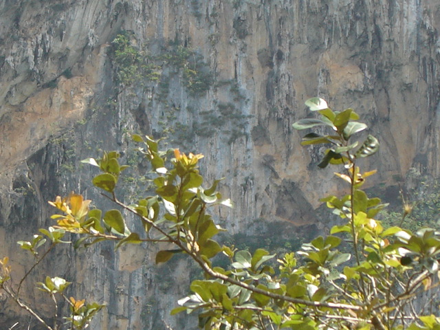 Scene from Viñales