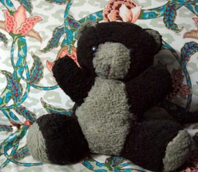 My teddy bear Misha