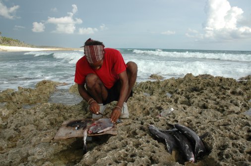 Cleaning fish