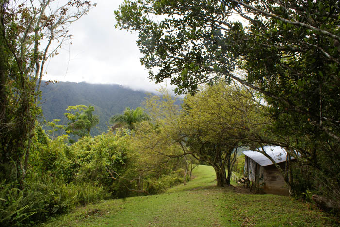 Fidel's Old Command Post