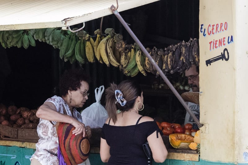 agro-en-el-cerro