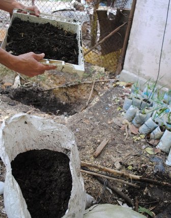 Compost ready for using.