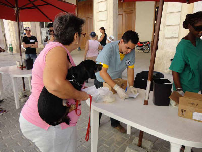 Dr.Leyssan Cepero, of the Havana Historian’s Office, maintains a clinical history of the anti parasite records.