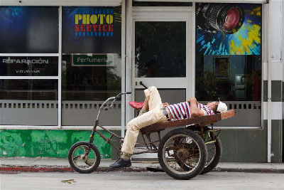 Nap time.  Photo: Juan Suarez