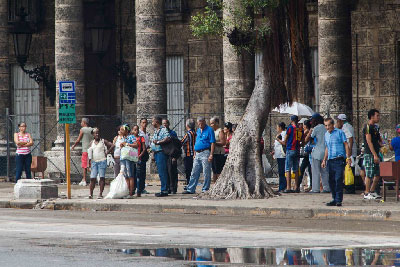 Havana bus stop.  Photo: Juan Suarez