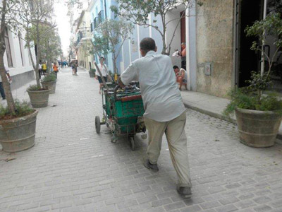 Old Havana street cleaner.