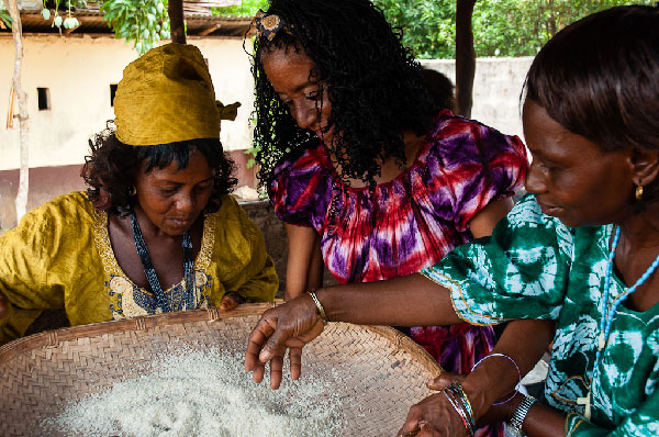 Elvira (c) y Lucie (l) cleaning rice in Sierra Leone, April 2013. Photo: Sergio Leyva