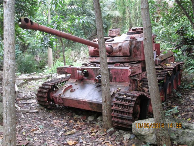 A Pink Tank in a Havana Garden - Havana Times