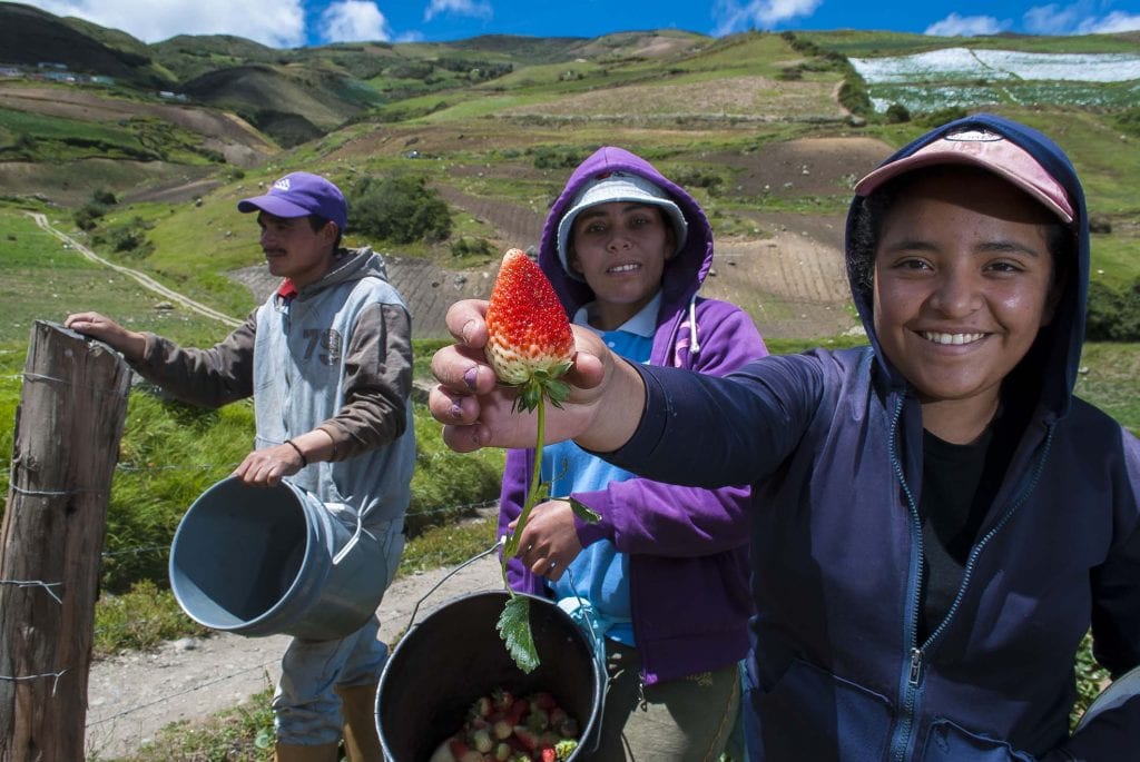 agricultores de trujillo, venezuela