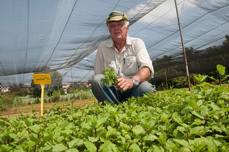 Photo: Raquel Perez Diaz. Miguel Salcines got fed up with Ministry of Agriculture’s “theories” and set up a suburban cooperative on empty lots of land. It was born during the economic crisis and is today known as the “Mint Cartel.”