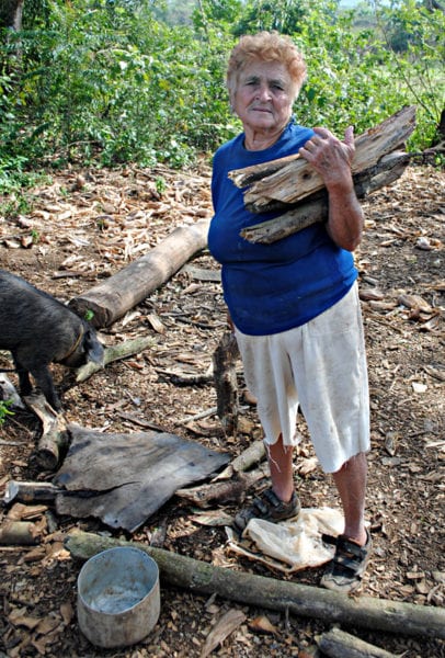 Carrying firewood.