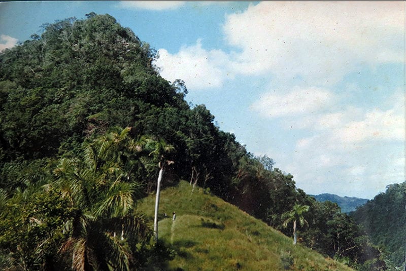 The El Brujo Mendez hill.