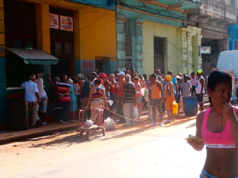 The line at the agro-market.