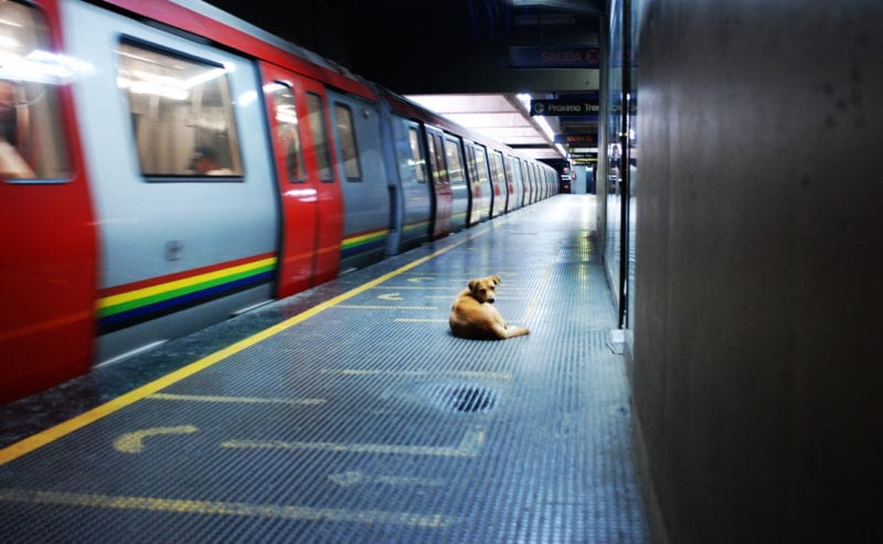 Line 1 of the Caracas metro.