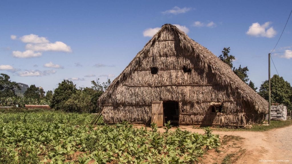 Tobacco Farm in Vinales, Cuba - Photo of the Day - Havana Times
