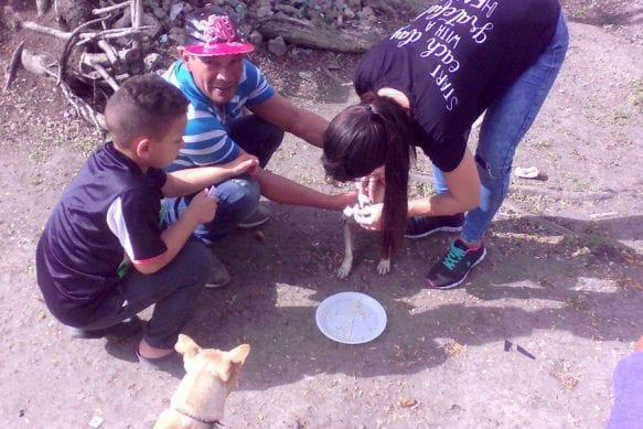New Animal Shelter for Stray Dogs in Santa Clara, Cuba - Havana Times
