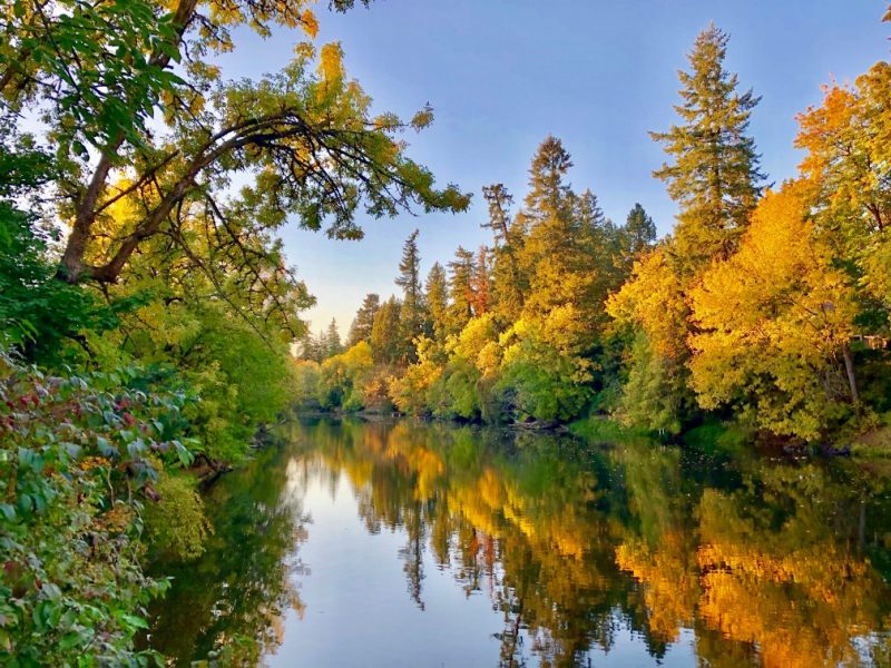 Tualatin River, Oregon, US - Photo of the Day - Havana Times