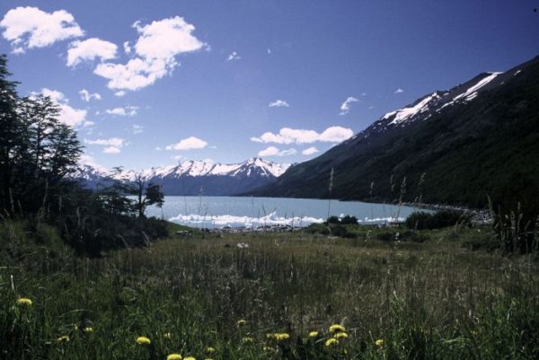 Prohibición de industrias en áreas protegidas de la Patagonia de Chile