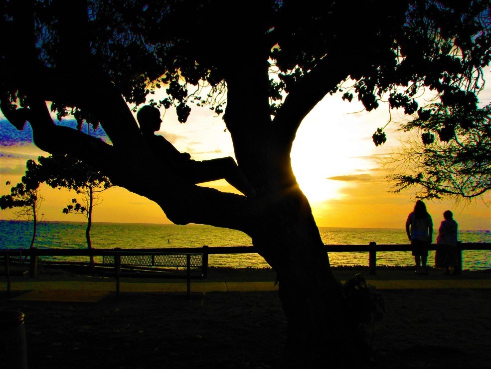 My Family Watching the Sunset, Maui, Hawaii Photo of the Day Havana