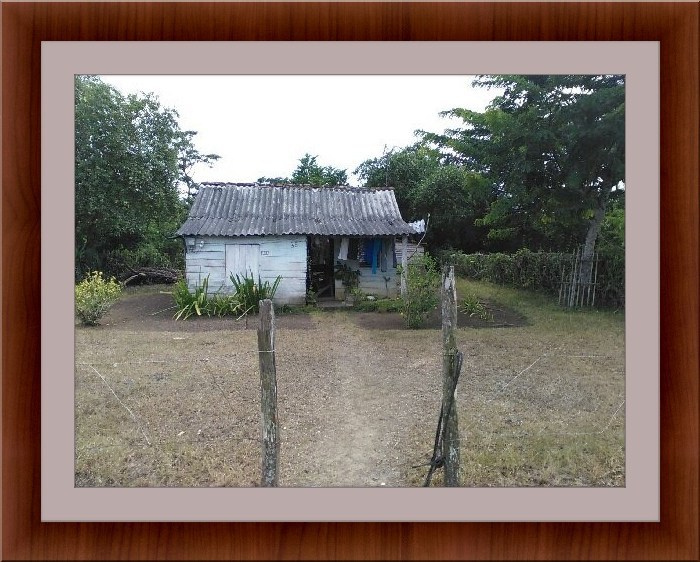 The Pearl of the Caribbean: Mental Health in Cuba - Havana Times