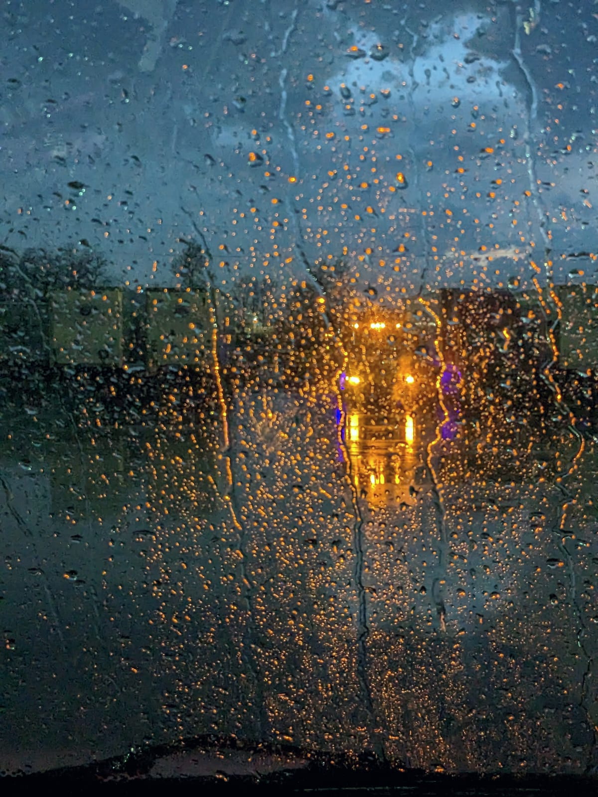 Rain, Chicago, USA - Photo of the Day - Havana Times