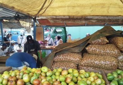 Over a Half Ton of Potatoes Disappear in Havana