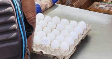 Eggs Have Become Golden for Cuba’s Retirees
