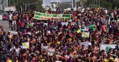 Indigenous Leaders Fight for Land Rights & Survival in Brasilia