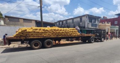 Cuba’s Potato Harvest is again Below Expectations