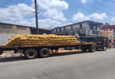 Cuba’s Potato Harvest is again Below Expectations