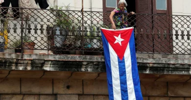 The Role of the Internal Opposition in Cuba