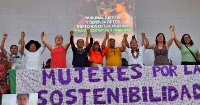 Indigenous Women in Peru Decry Violations of Their Rights
